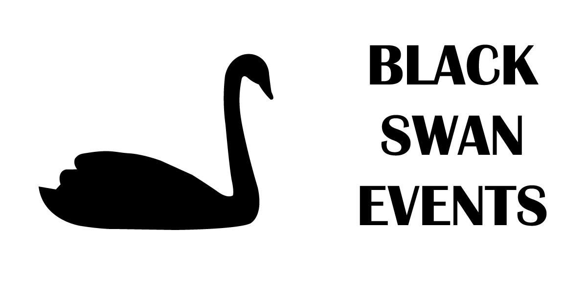 The Black Swan in aviation –